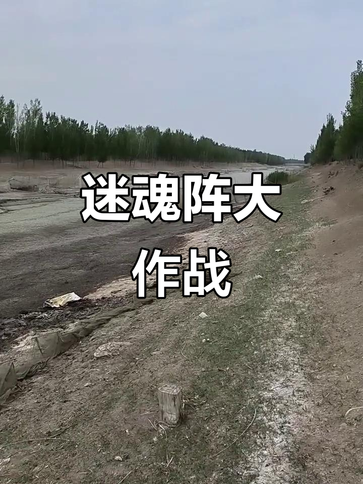 迷魂阵捕鱼现场，河道里全是网！