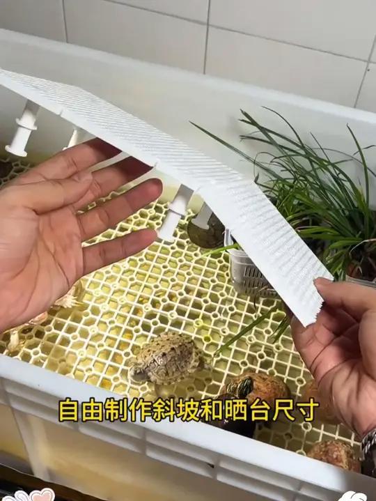 这种鱼缸龟缸网格板你不会还没用过吧！加厚加密材质，可以做乌龟晒台、底滤板龟缸、造景垫板、防