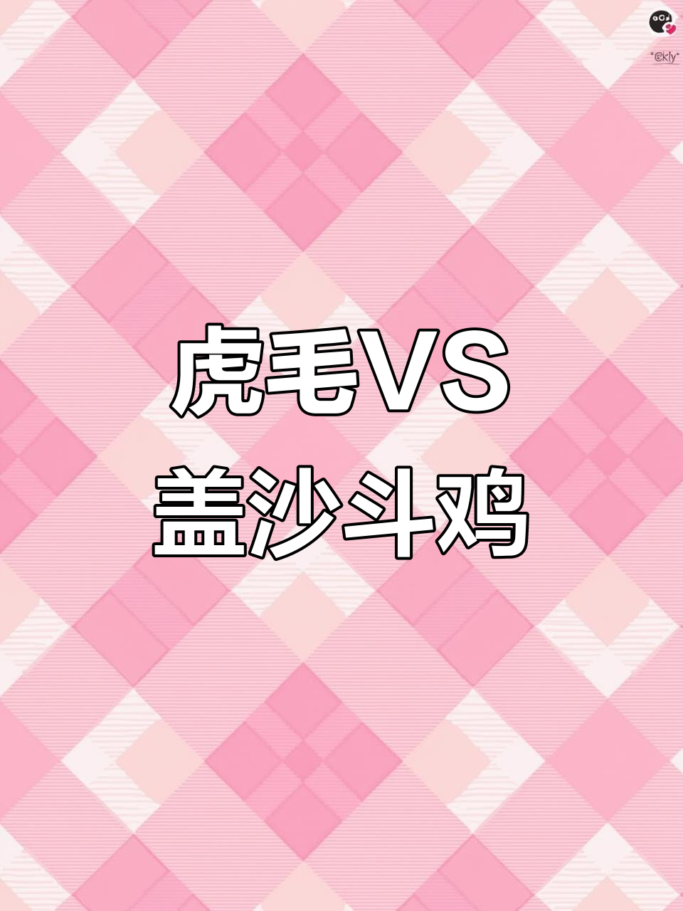 虎毛与盖沙的斗鸡对决,谁胜?