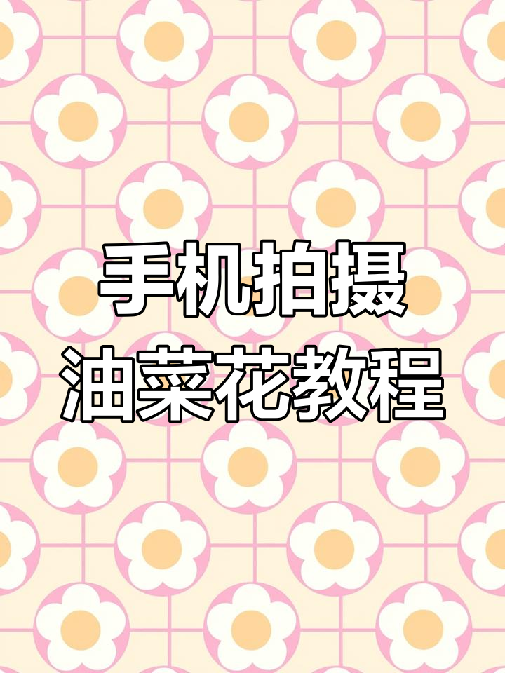 用手机拍油菜花,轻松掌握专业模式技巧