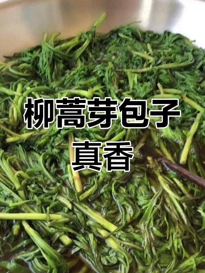 用柳蒿芽做包子,香气扑鼻让人无法抗拒
