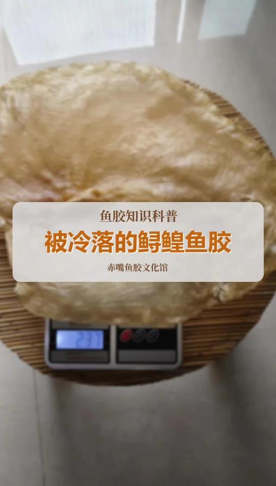 被冷落的鲟鳇鱼胶!