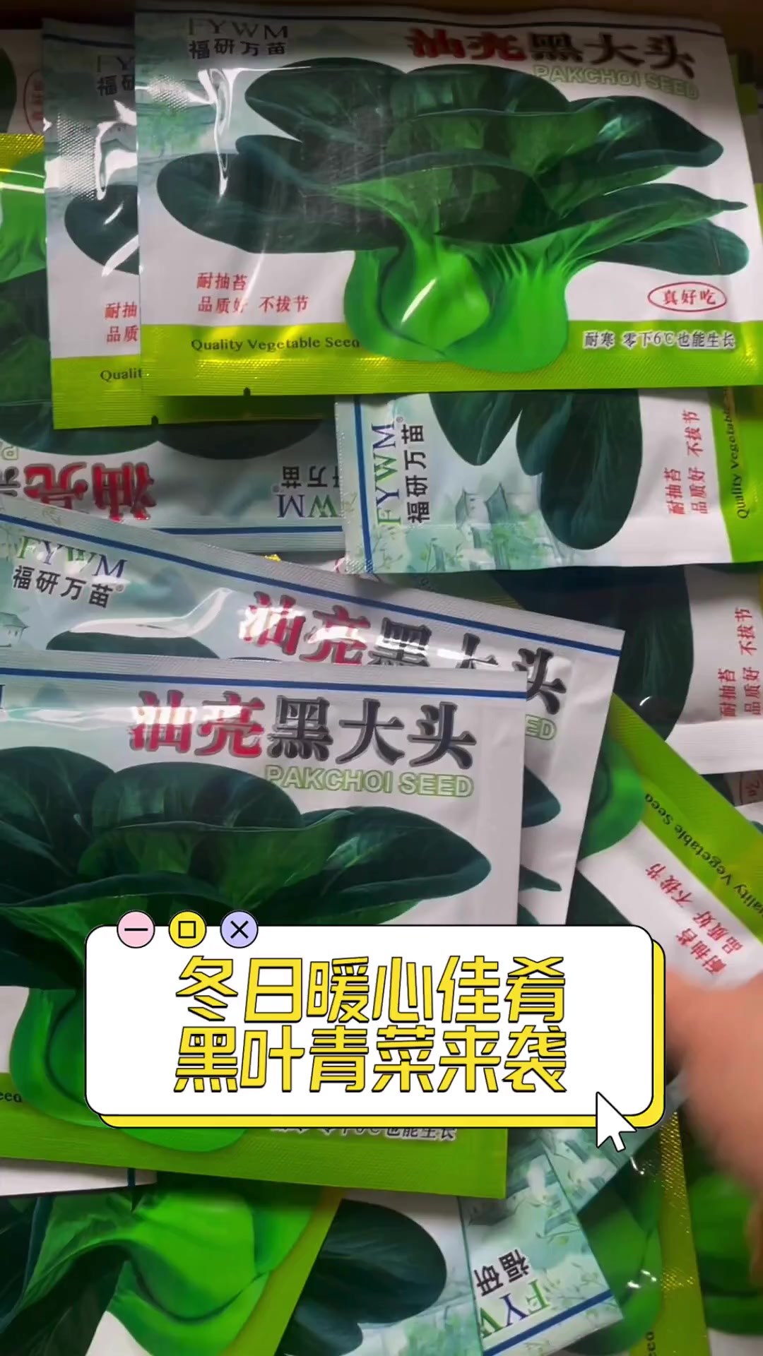 冬日暖心佳肴,黑叶青菜来袭