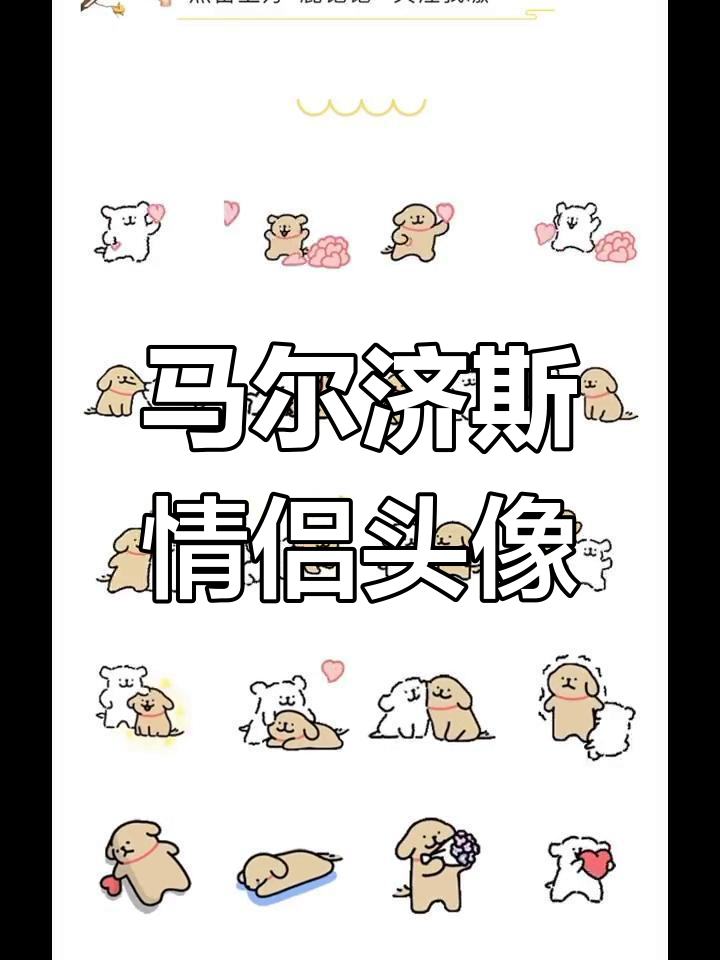 情侣马尔济斯线条头像
