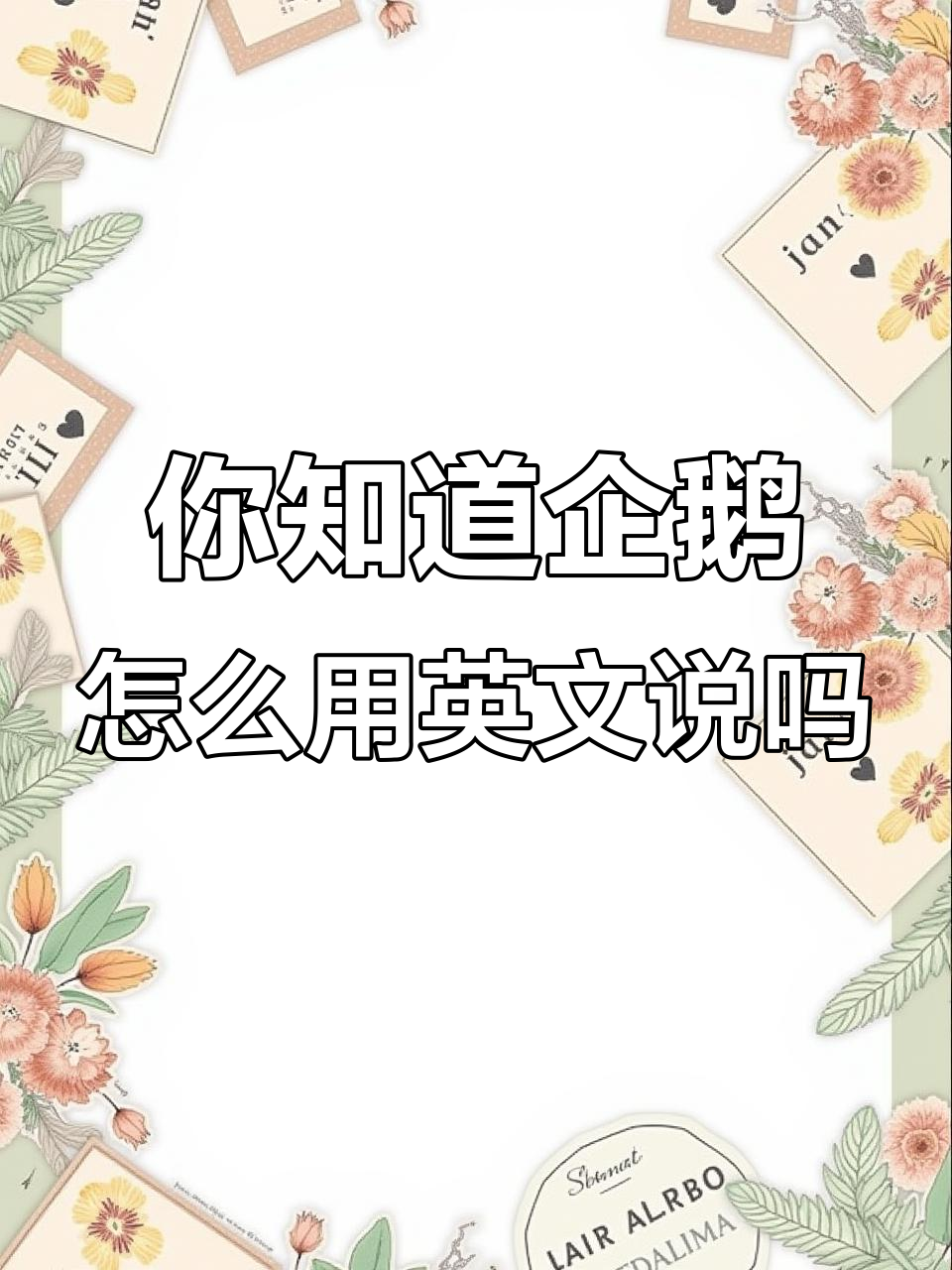 企鹅英语怎么说?答案竟然是“QQ”!