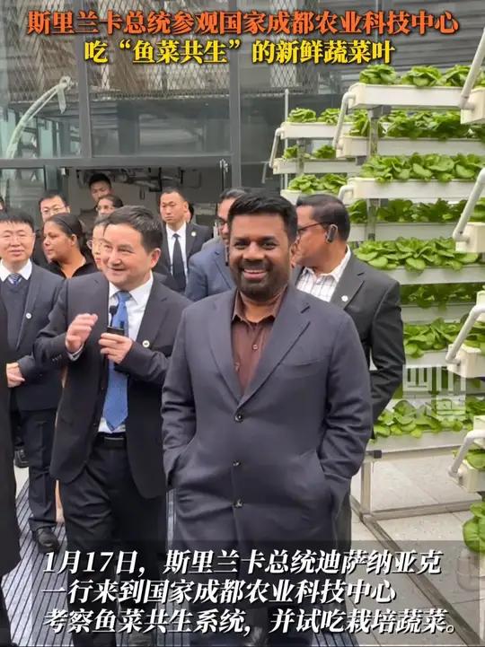 1月17日,斯里兰卡总统参观国家成都农业科技中心,考察鱼菜共生系统,并现场试吃“鱼叶共生”