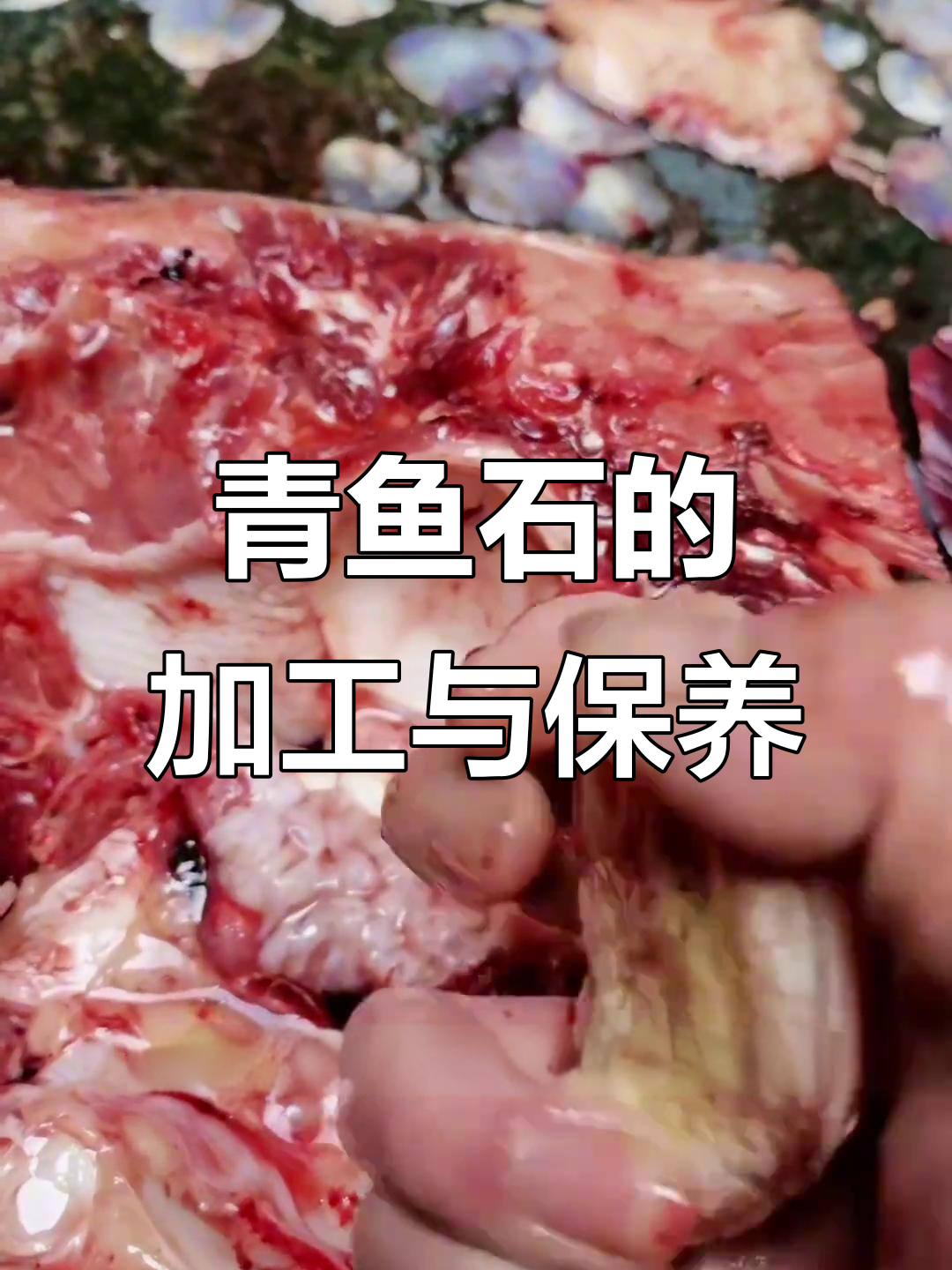 青鱼石雕刻技巧:从风干到成品的完美转变