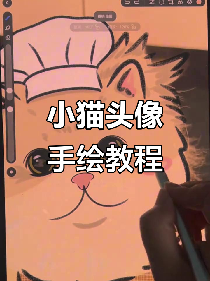 零基础也能画出超萌小猫咪头像,简单又可爱!