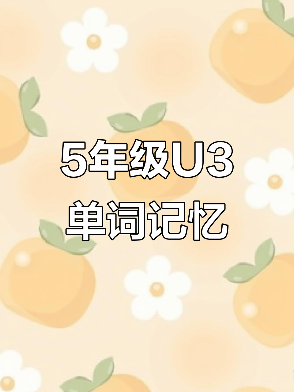 五年级U3单词速记:三明治、沙拉与汉堡包