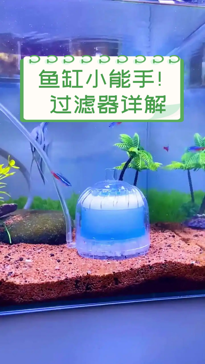 鱼缸小能手!过滤器详解