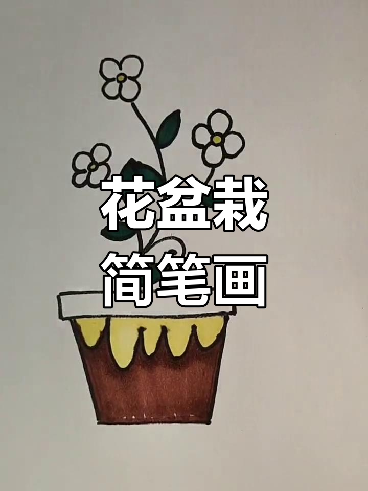 简单盆栽花简笔画教程