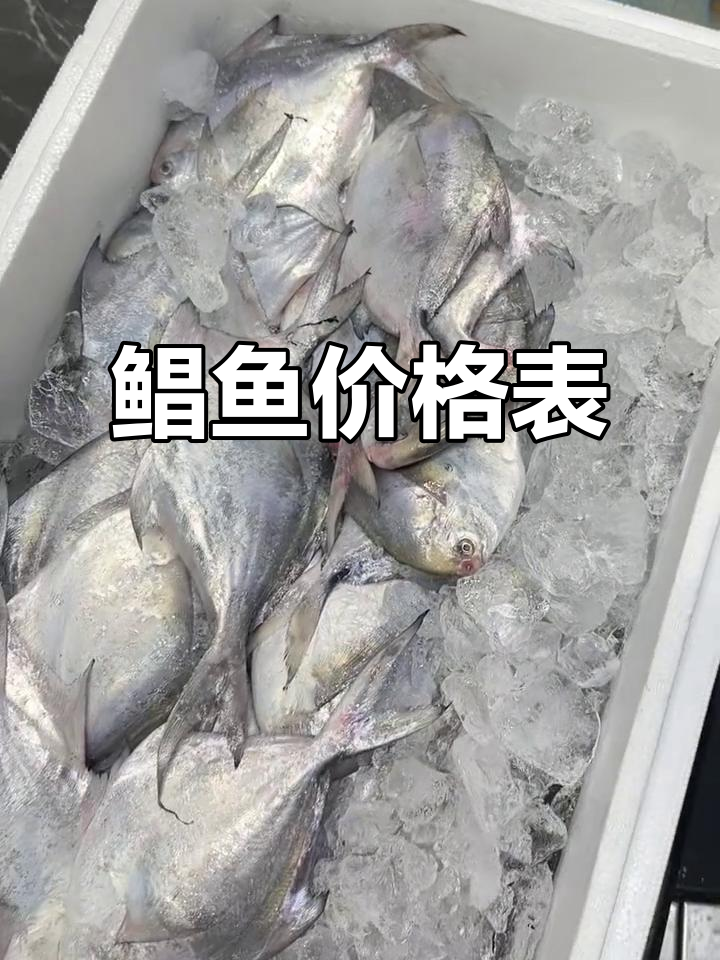 鲳鱼价格：3-6两不同规格，对应不同售价