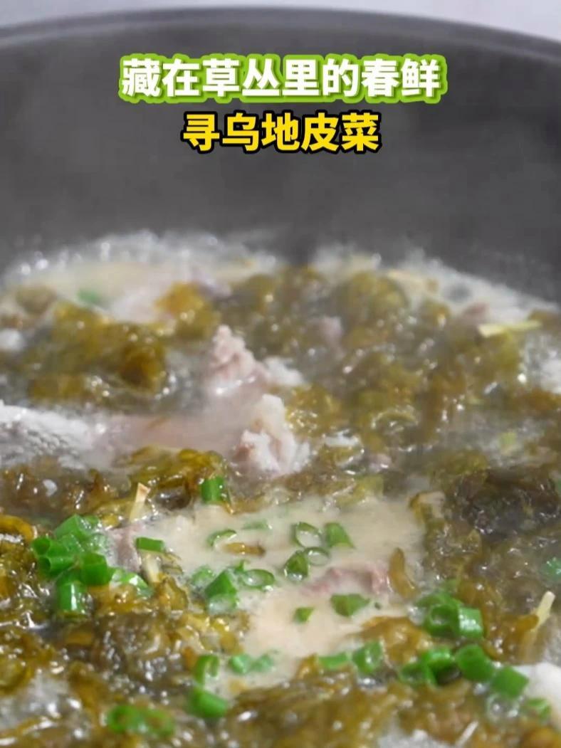 藏在草丛里的春鲜——寻乌地皮菜,体验春天的味道!#寻乌 #春天 #野菜