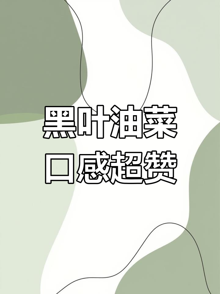 苏州青,黑叶油菜的绝佳选择!耐寒又抗虫害