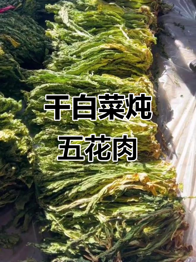 农家干白菜炖狗肉豆腐，蘸酱吃更香