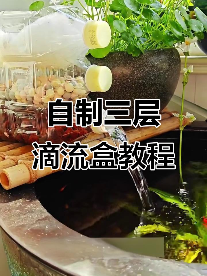 废饮料瓶变三层滴流盒,DIY鱼缸过滤新玩法