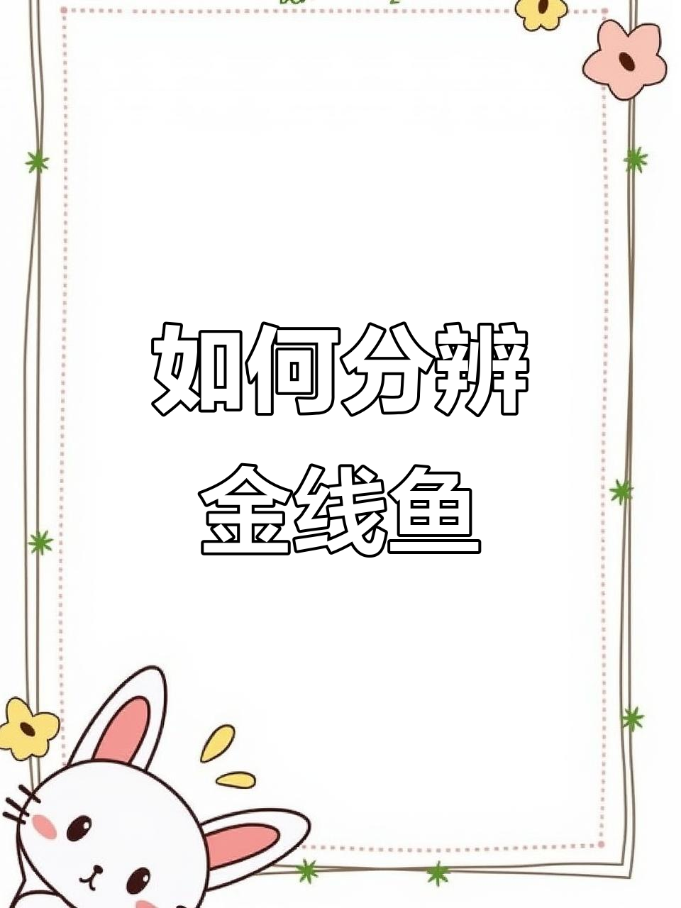 金线鱼如何辨别真假?了解海南祭祀常用的鱼类