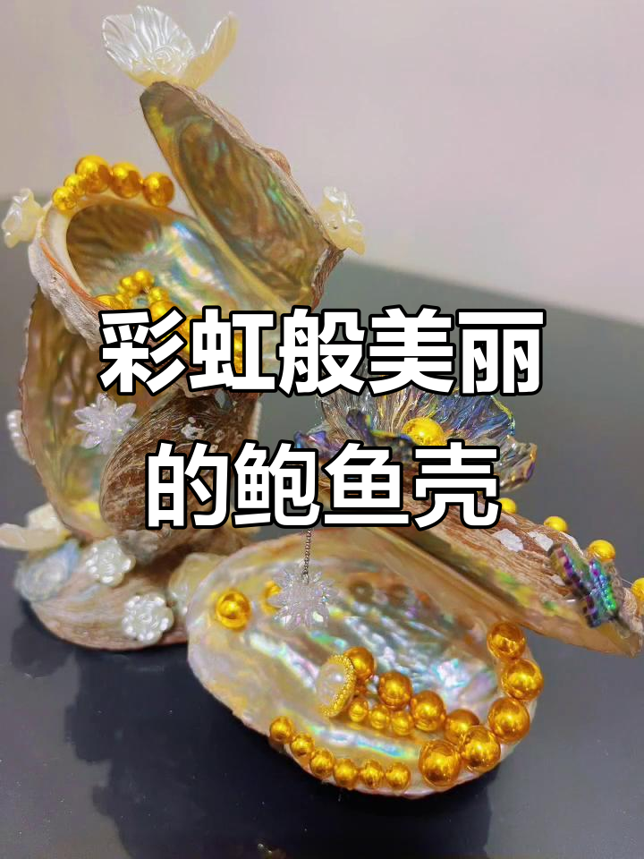 鲍鱼壳变装饰，色彩斑斓如彩虹