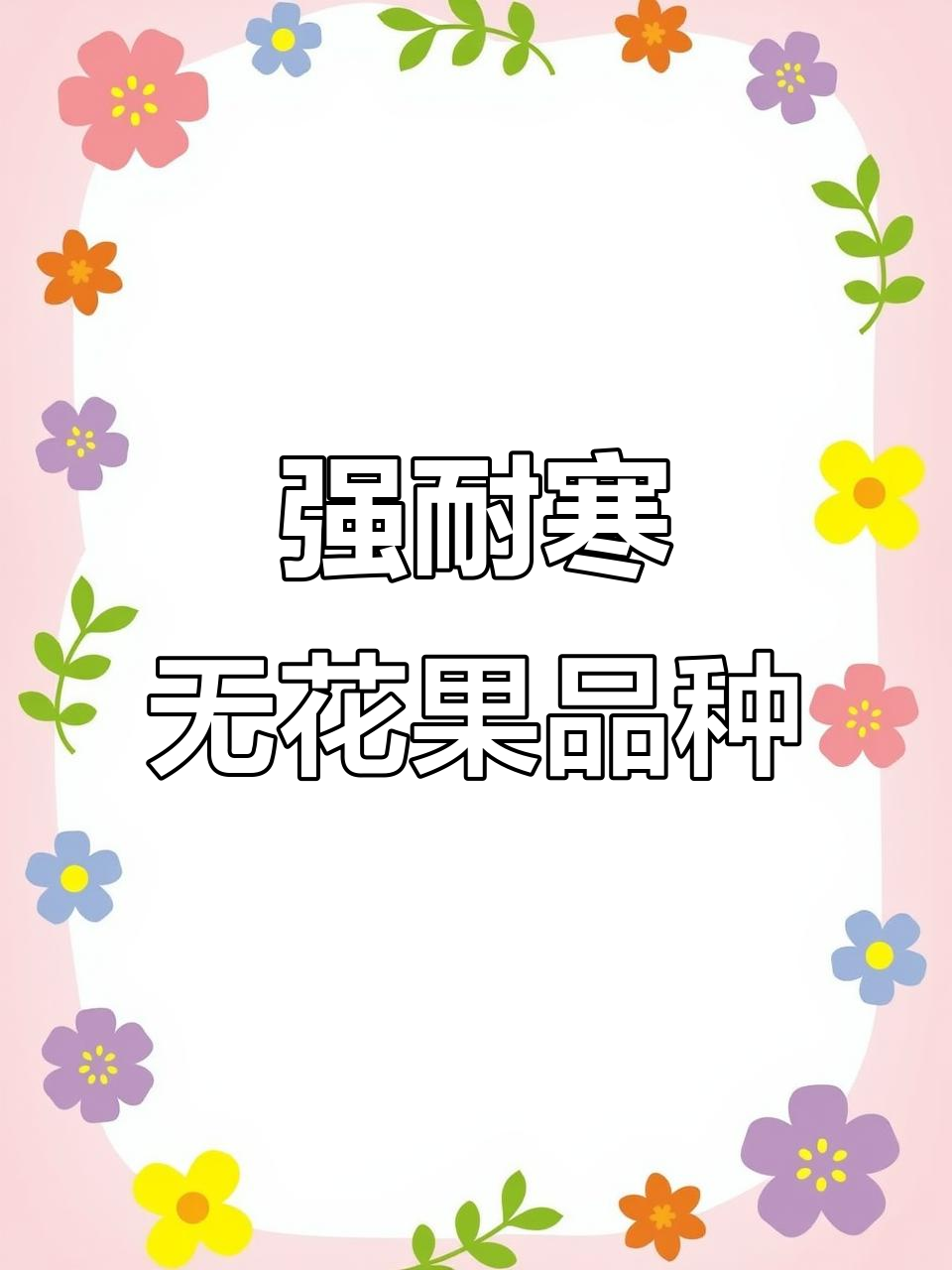 哈代无花果:耐寒强、果实小但颜值高,甜度惊人