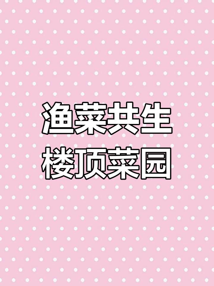 楼顶小菜园:瓜果蔬菜与鱼池共生的生态乐园
