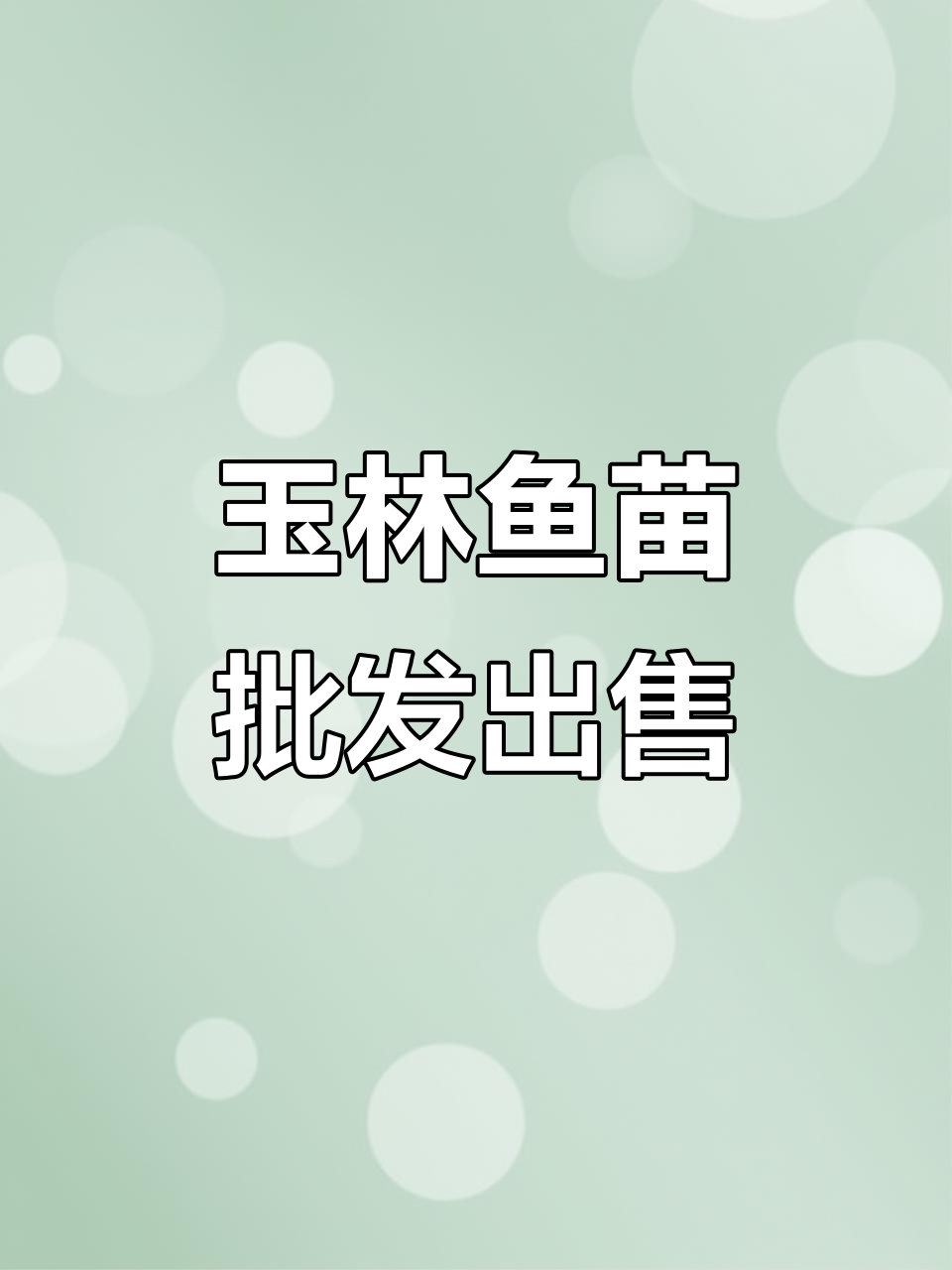 玉林鱼苗放生,批发价格实惠