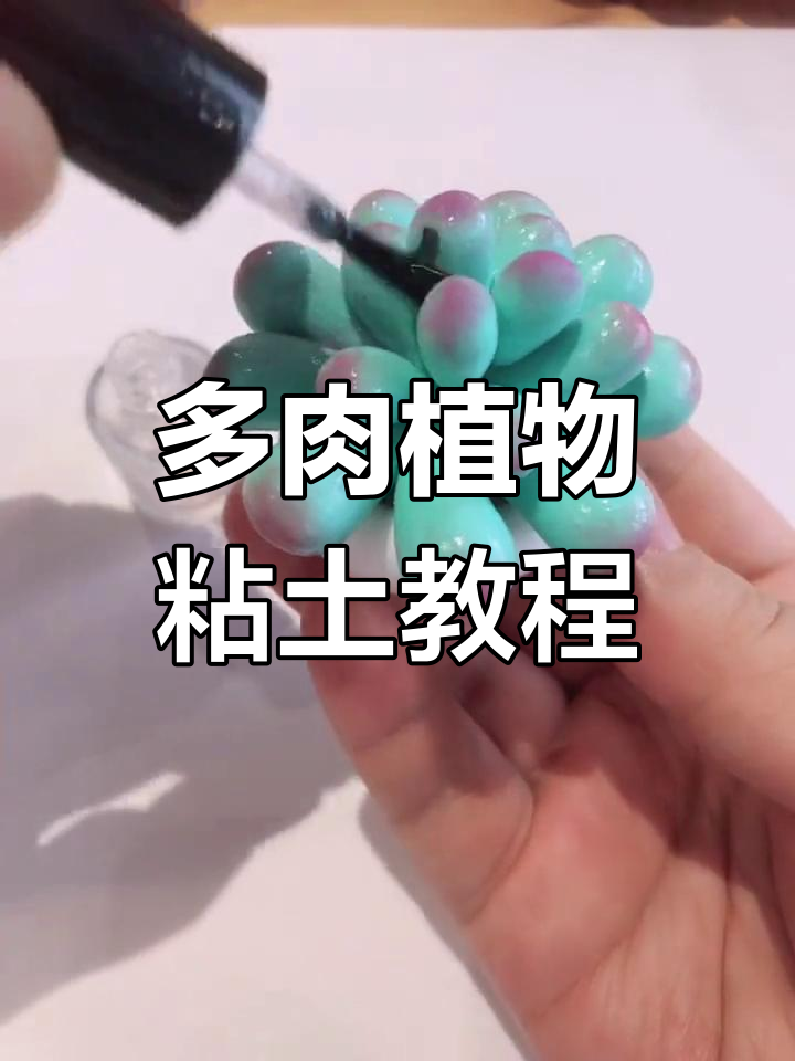 轻松学会多肉植物粘土制作,步骤简单有趣
