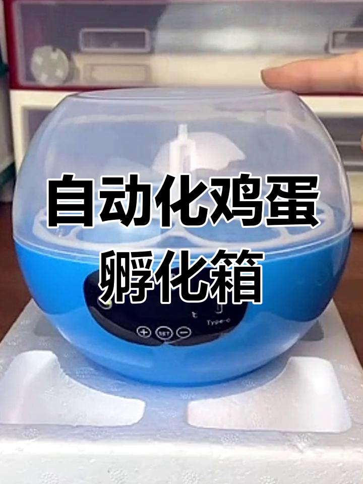 全自动智能孵化器,轻松孵蛋无忧