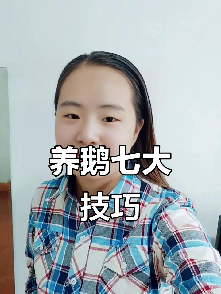 三十年养鹅秘诀,七个妙招让鹅健康肥壮