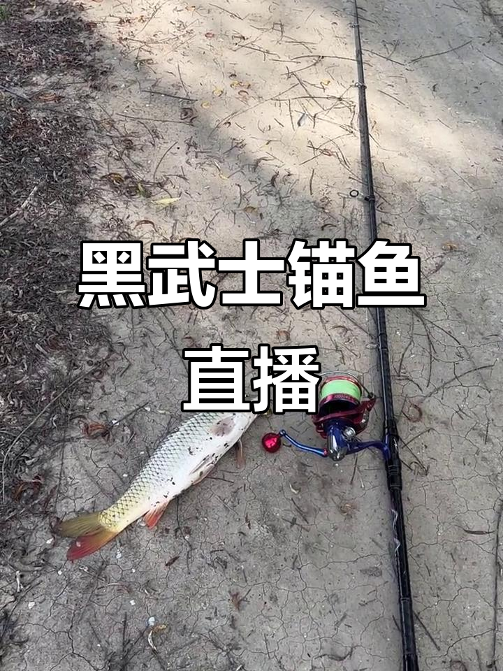 三米黑武士锚鱼装备,小号蝴蝶钩强势来袭