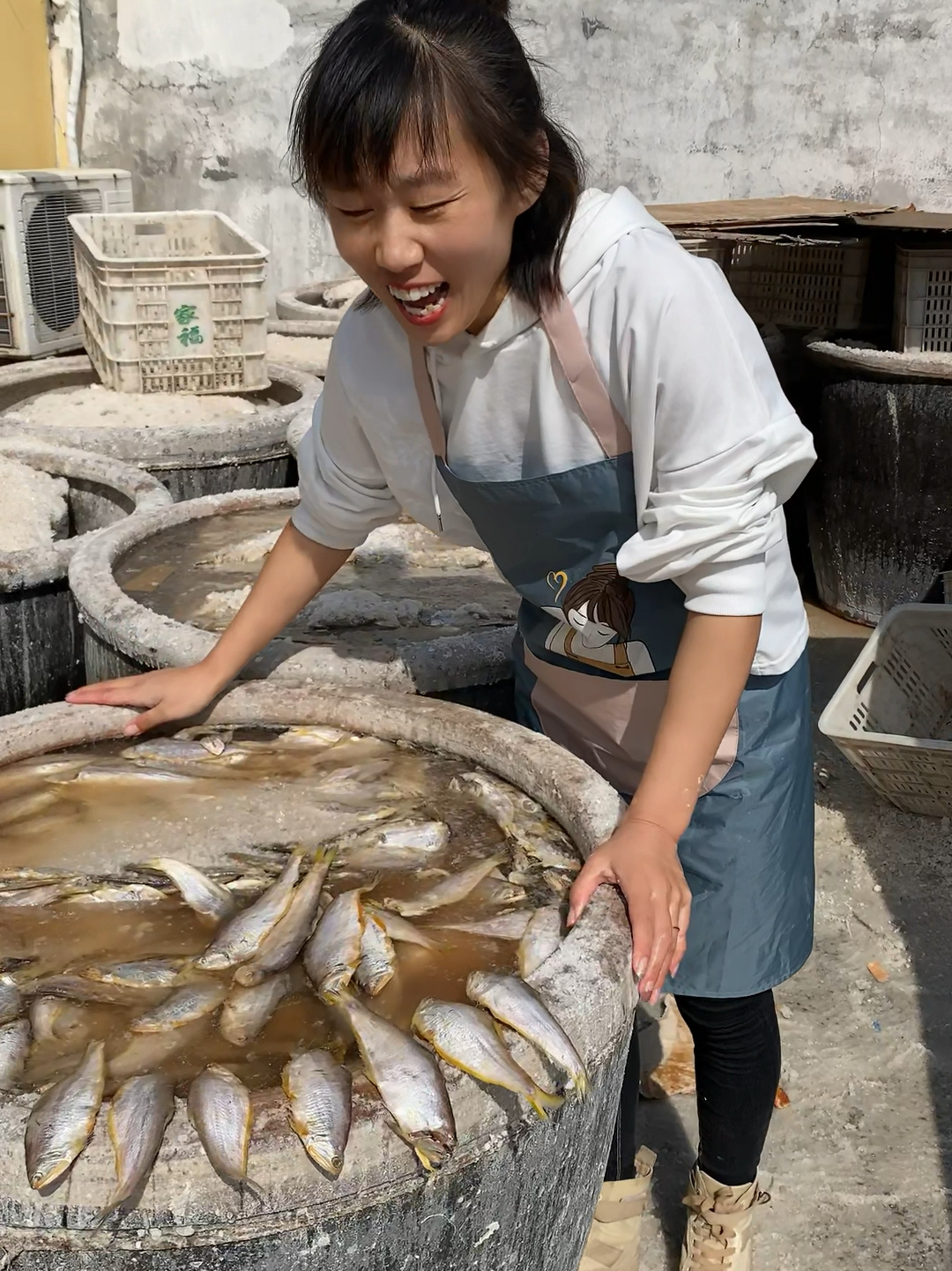马口鱼又名油扣鱼,黄鲫子鱼