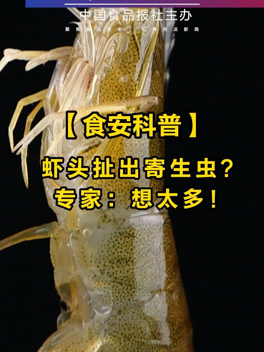 虾头扯出寄生虫是真的吗?