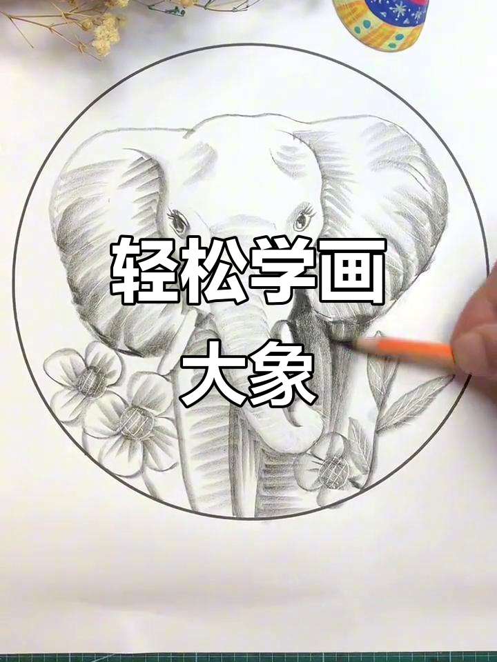 用线描画可爱大象,简单又好玩