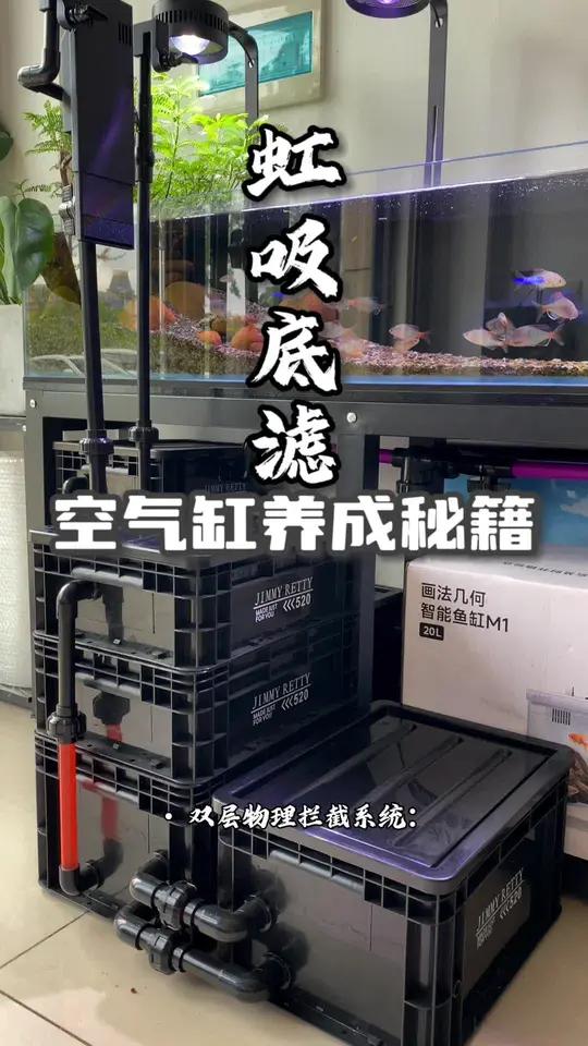 「80缸专属」工业风周转箱底滤全解析！55L滤仓+双层静音过滤，养鱼新手也能养出空气缸！