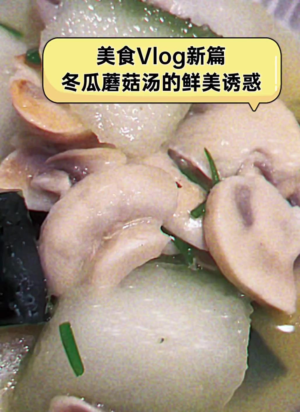 美食Vlog新篇,冬瓜蘑菇汤的鲜美诱惑