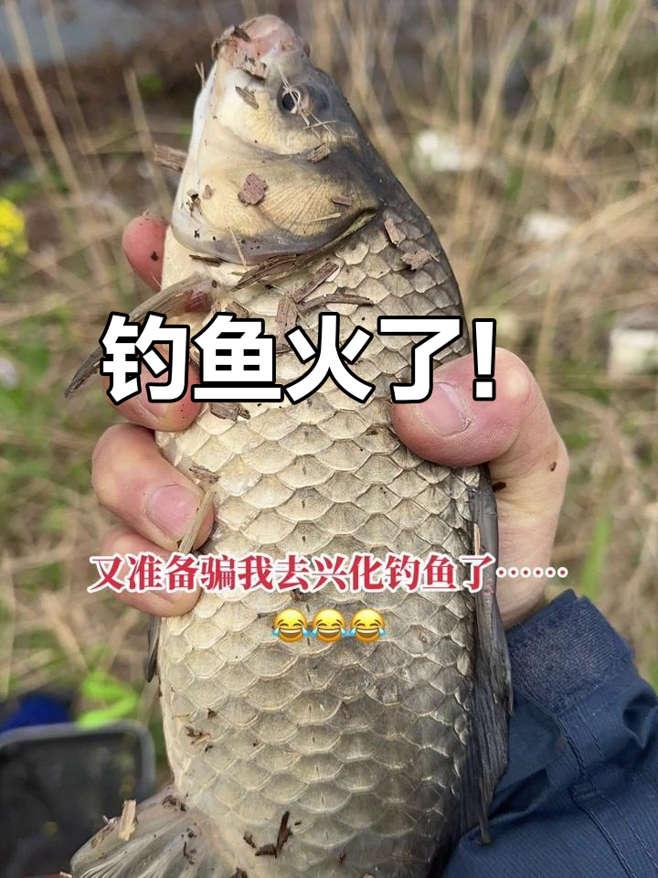 钓鱼成抖音新运动风潮,传统钓法大行其道