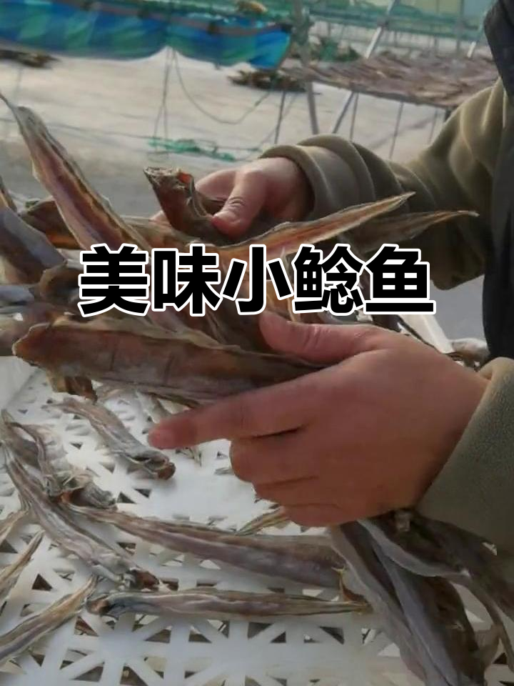 小鲶鱼干,香脆可口,价格亲民,绝对让你停不下来!