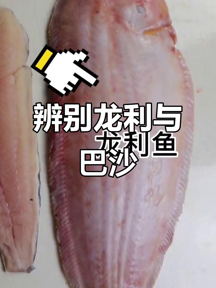 龙利鱼和巴沙鱼的真相,你吃的是哪种?