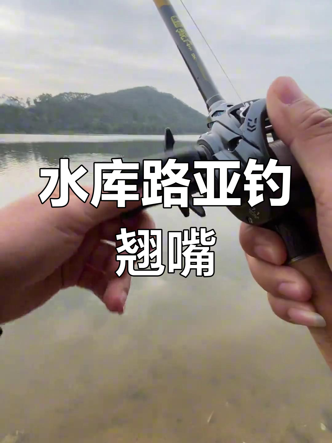 江门水库路亚翘嘴,解锁黄尾技巧大揭秘