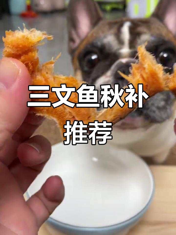 挪威三文鱼,厚切营养,秋冬给爱犬加餐的好选择!