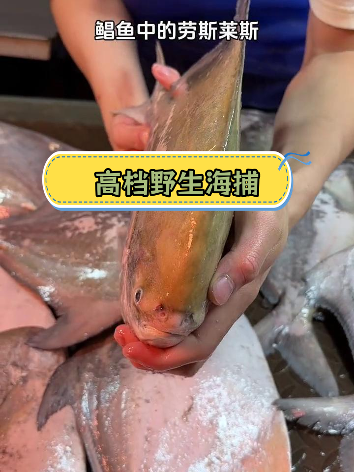 斗鲳鱼的高端加工工艺,肉质鲜美