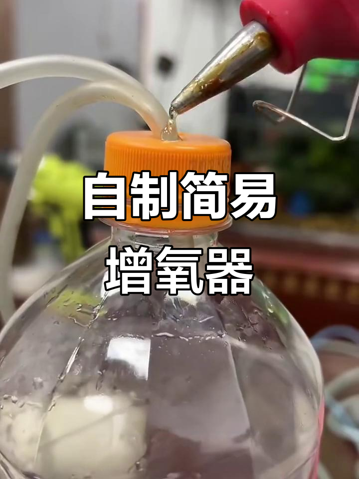 无需电力,塑料瓶DIY增氧装置让鱼缸不再缺氧