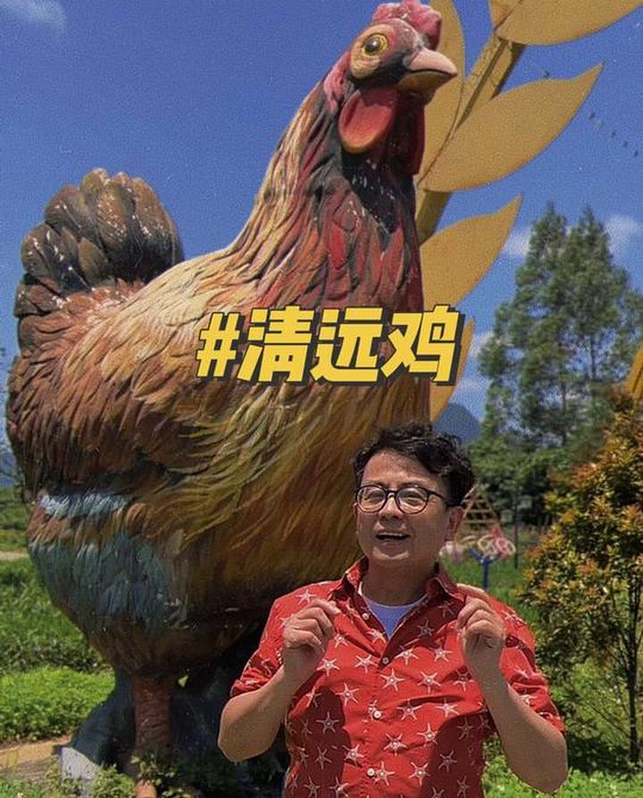 来到清远一定要吃清远鸡