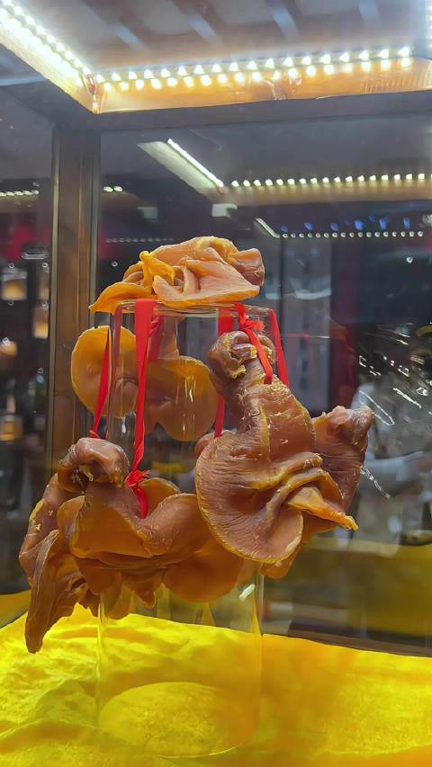 经济条件允许的话 收藏些花胶在家里放着还是不错的 毕竟它的价格一直在涨,早买早赚   潮汕