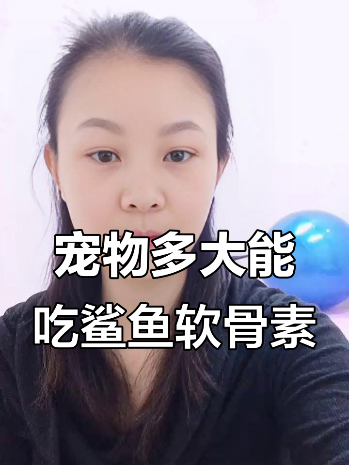 宠物何时开始吃鲨鱼软骨素?保护关节、提高免疫力