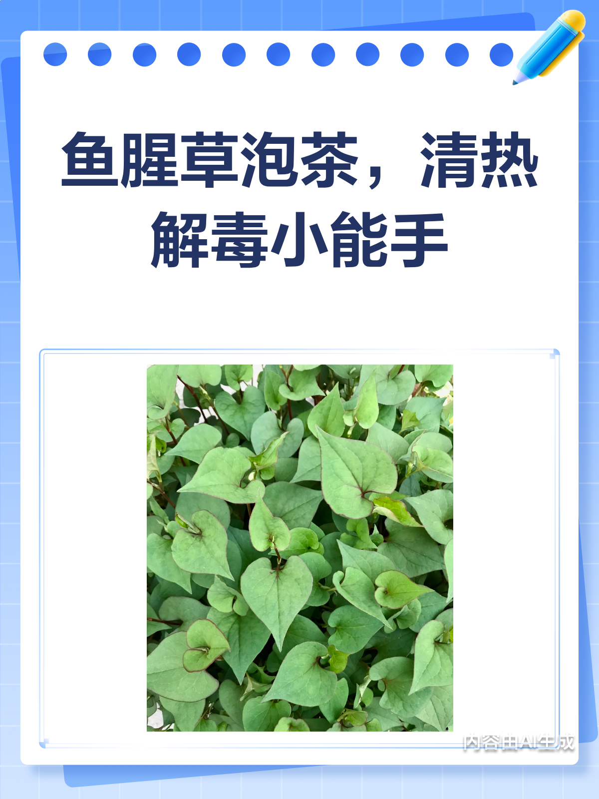 鱼腥草泡茶,你真的喝对了吗?