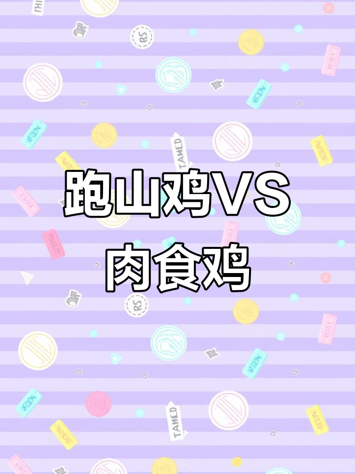 跑山鸡与三黄鸡的区别,口感和营养大不同