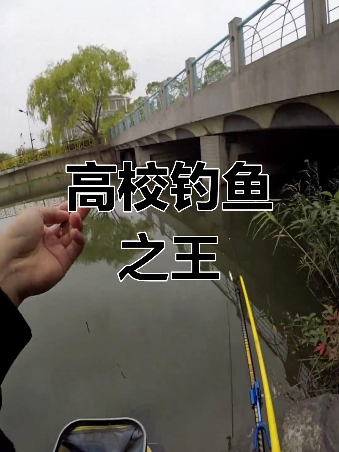 高校钓鱼大赛,发酵玉米钓大鲤鱼!