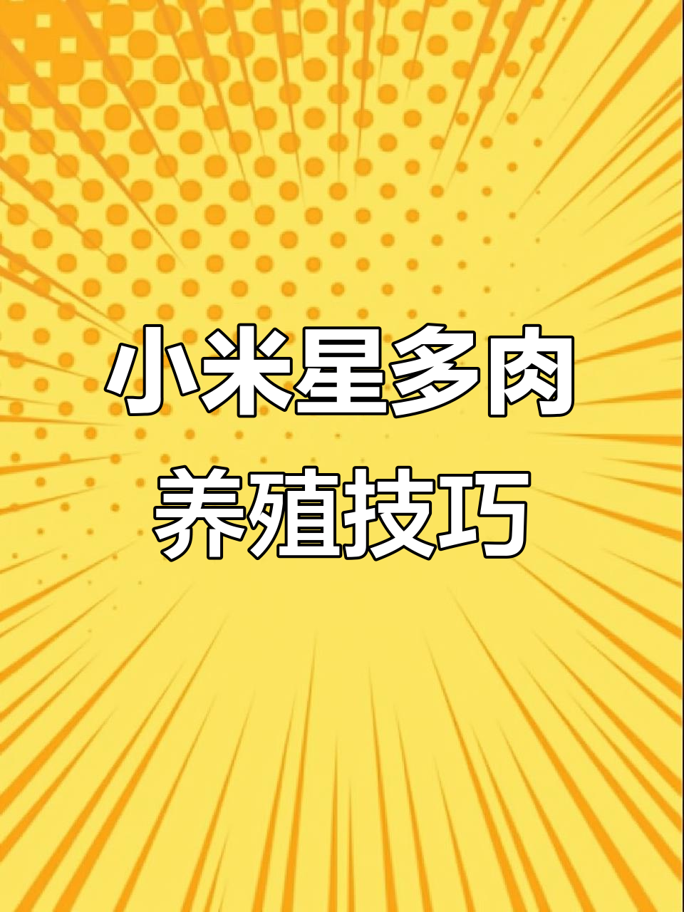 小米星多肉养护全攻略:轻松扦插,快速生长
