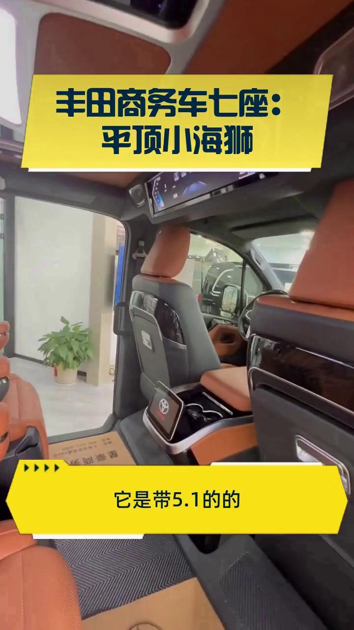 丰田商务车七座:平顶小海狮