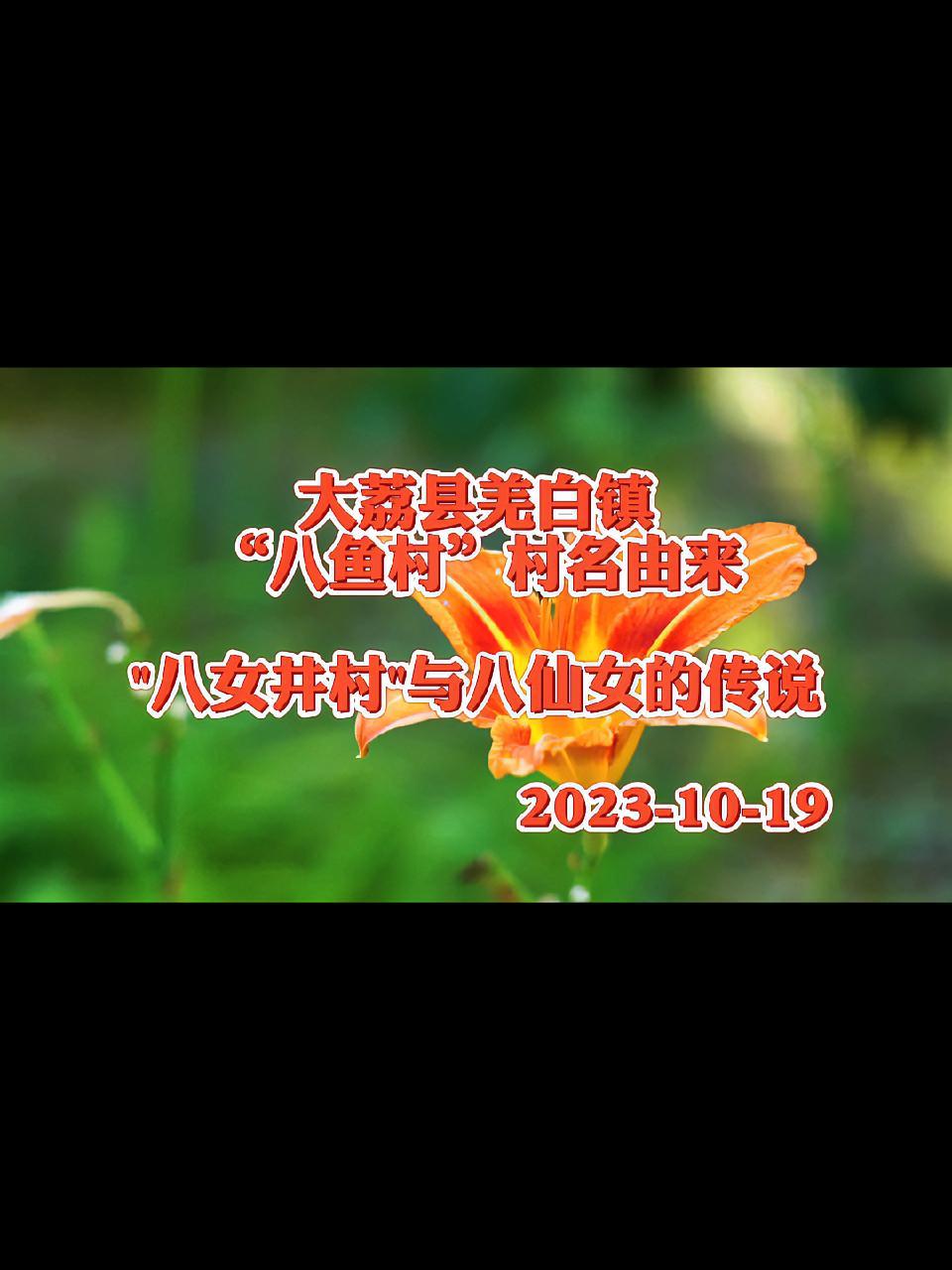 大荔县羌白镇“八鱼村”村名由来～“八女井村”与八仙女的传说 抖音创作者大会 羌白镇 八鱼村